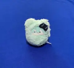 家庭教師ヒットマンREBORN! フラン くるみたぴぬい