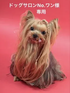 ハンドメイド　オーダー受付ページ　♡柴犬パネル♡ ハンドメイド オーダー受付ページ ♡柴犬パネル♡