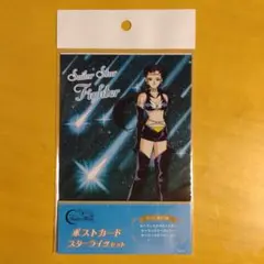 【未開封品】セーラームーン×TeNQ 企画展　ポストカード　スターライツセット