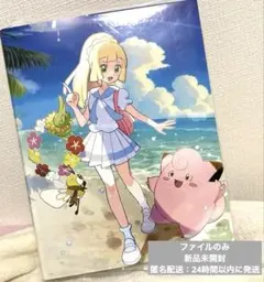 【ファイルのみ_新品未使用】ポケモンコレクションファイル　リーリエ