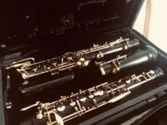 Item thumbnail for item 8c76532c-86d1-4973-84e3-285fc5861117