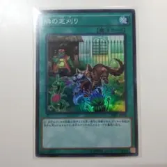 遊戯王 隣の芝刈り スーパーレア 1枚