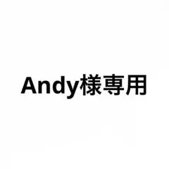 Andy様専用ページ