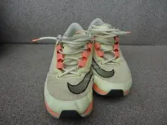 Item thumbnail for item 7077f715-ac45-40d6-ba20-b7de88802d68