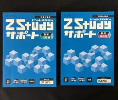 新品未使用！二冊セット　ＺＳtudyサポート　数学　幾何編　代数編