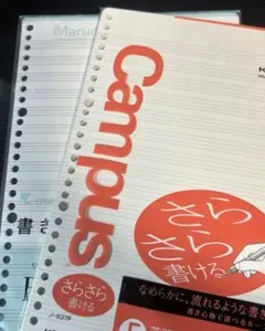 Item thumbnail for item 2592d1a2-bdf7-48e0-a5ce-3c49b6f12a75