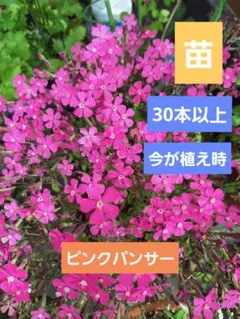 み や様 リクエスト 2点 まとめ商品