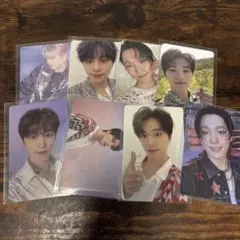 SEVENTEEN トレカ ディノ