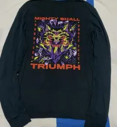 Nike Dri-FIT MIGHTY SHALL TRIUMPH Tシャツ S