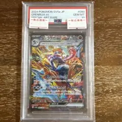 PSA10】 ポケモンカード ルカリオ 069/SM-P プロモ みきわめ - メルカリ