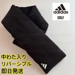 Item thumbnail for item 3e945573-3a63-4305-9e69-c4dc223af777