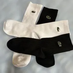 LACOSTE ソックス 白黒セット