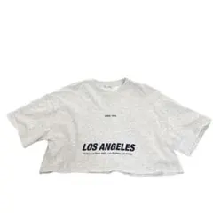 【ZARA】　Tシャツ 半袖　L グレー　ショート丈 　切りっぱなし