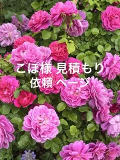 こぽ様 お見積もりのサムネイル