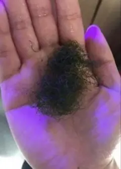 기간 한시적으로 호소주즈모 상향 조정 중