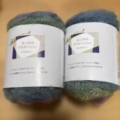 (入手困難)あこがれグラデーション 7号毛糸 251