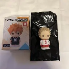 ハイキュー‼︎ 夜久衛輔　ぱぺマス