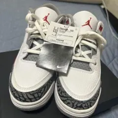 NIKEAIRJORDAN3RETROGSFIRERED DM0966-160のサムネイル