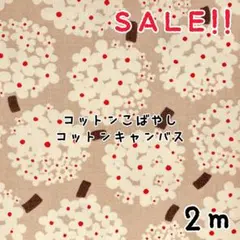 Item thumbnail for item 4eed6a37-9f5c-4047-93ae-6d27b0e71004