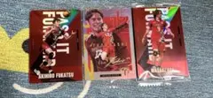 バレーボール選手カードセット