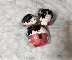 ハイキュー 黒尾鉄朗 のるキャラ ふわコロりん はぐキャラ