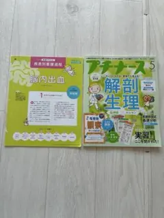 プチナース　解剖生理学 ➕疾患別看護過程