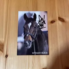 キタサンブラック 武豊騎手直筆サイン入りポストカード