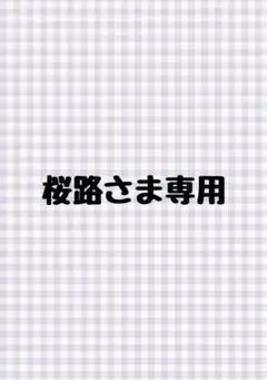【桜路さま専用】たぬき着ぐるみ