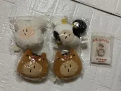 2025年最新】宮川大聖 ウィスピーの人気アイテム - メルカリ