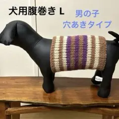 犬用腹巻き L （幅短め）男の子　H599
