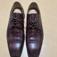 Item thumbnail for item 4271b907-3089-4c9b-bffd-ecfa8b1a03da