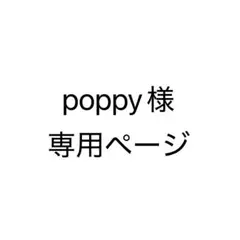 【 poppy様 専用】【ちいかわだらけくじ】救出！着脱ぬいぐるみ（チョコ）B賞