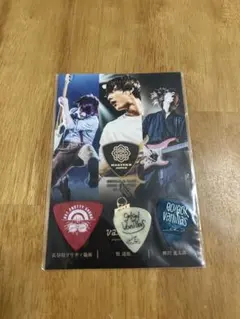 2025年最新】go go vanillas ピックの人気アイテム - メルカリ