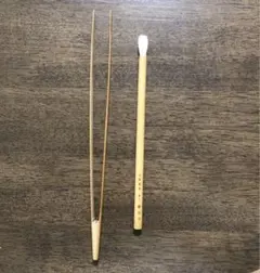 Item thumbnail for item cf3f6970-472b-4cec-8915-db81858f9cec