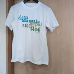 phenix Tシャツ ホワイト Mサイズ