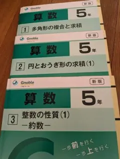 新版:小5】全30巻 算数 G脳ワークアウト Gnoble グノーブル 問題集