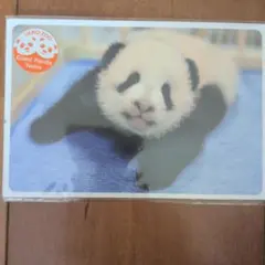 Item thumbnail for item 3e953485-c971-4476-a2bc-3b3d732a5e9d