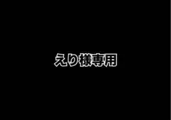 えり様 リクエスト 2点 まとめ商品