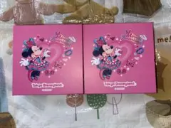 コンパクトミラー ディズニー パルパルーザ ミニーのファンダーランド 2個セット