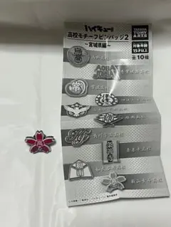 ハイキュー 高校モチーフピンバッジ2