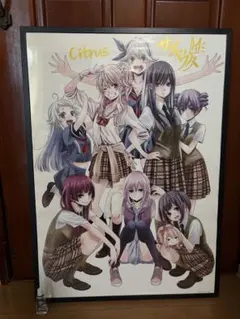 2026年最新】citrus サブロウタ サインの人気アイテム - メルカリ