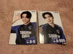 Item thumbnail for item a301bf60-db5d-4501-8823-b444c56fb836