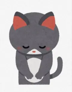専用　チュニック