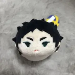 ハイキュー!! TO THE TOP もちもちマスコット vol.5 赤葦京治 - メルカリ
