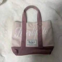 herlipto HLT canvas mini tote pink ミニトート - メルカリ