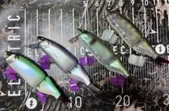 2026年最新】drt タイニークラッシュ クィーンの人気アイテム - メルカリ