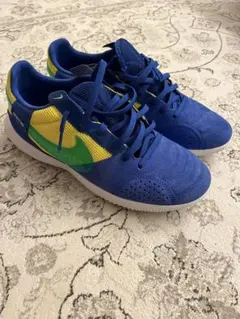 ストリートガト 25.5cm ブラジルカラー