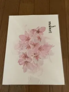 滝沢歌舞伎ZERO FINAL パンフレット　SnowMan