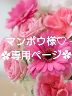 マンボウ様♡専用ページ.。.:*♡✿ฺ