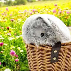 Item thumbnail for item 66db5ed6-28b7-4ad5-a296-ed679c9b360c